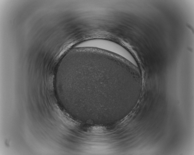 X0000100420154200806131106