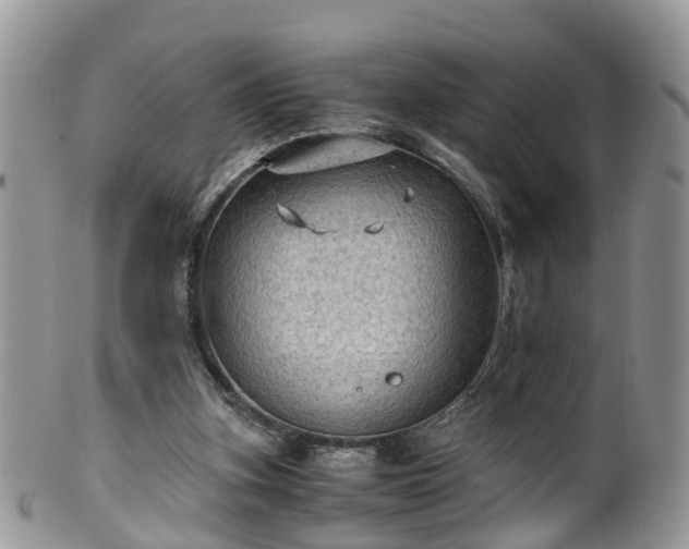 X0000100420155200806131106