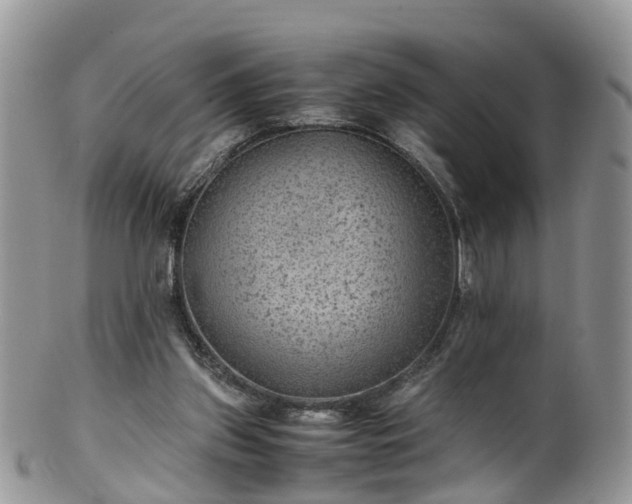 X0000100420157200806131106