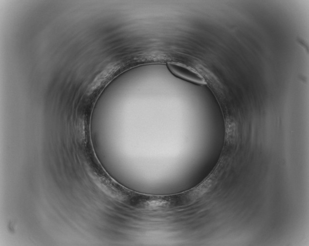 X0000100420158200806131106