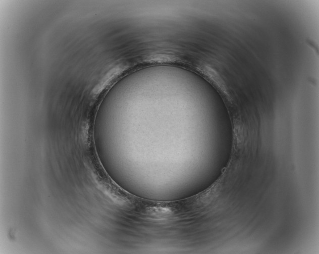 X0000100420159200806131106