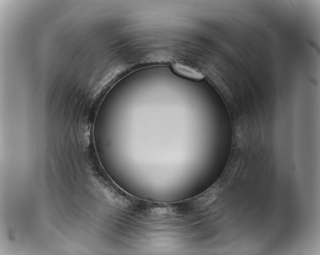 X0000100420160200806131106
