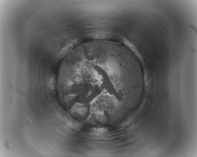 X0000100420161200806131106