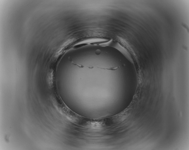 X0000100420163200806131106
