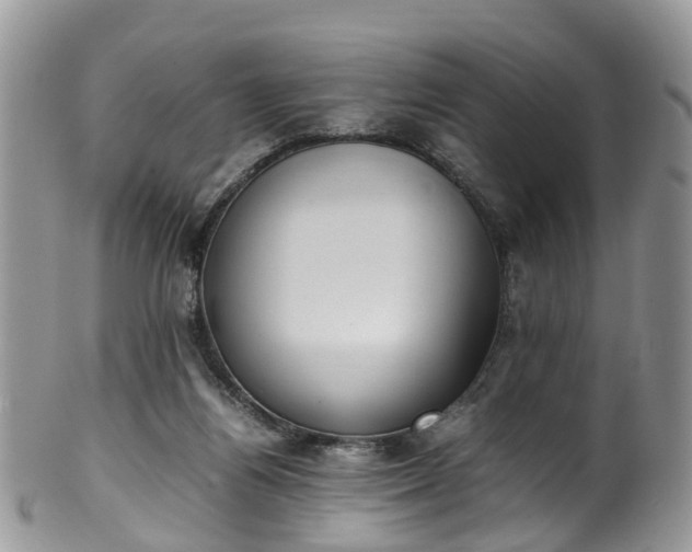 X0000100420164200806131106