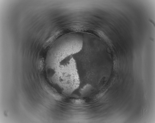 X0000100420165200806131106