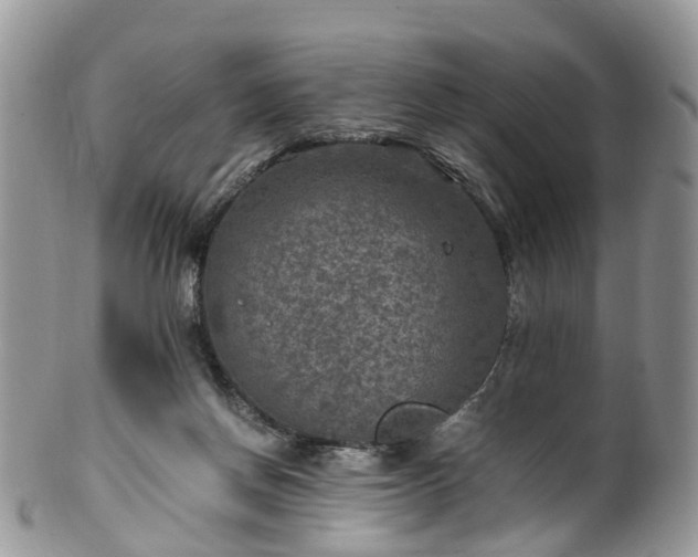 X0000100420166200806131106