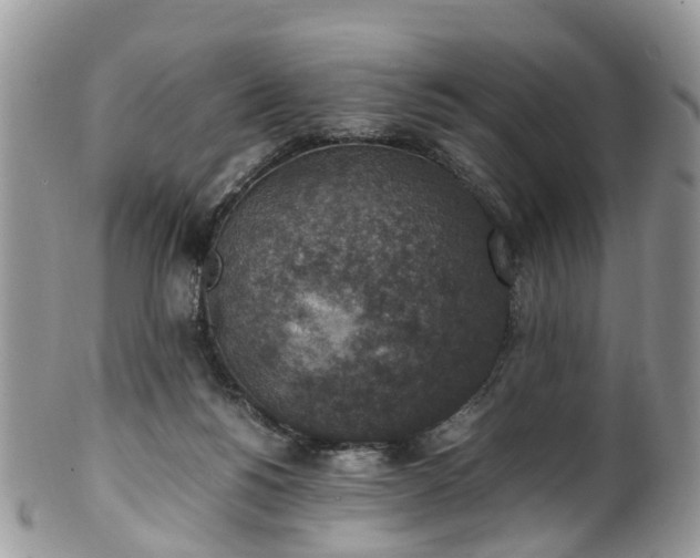 X0000100420168200806131106