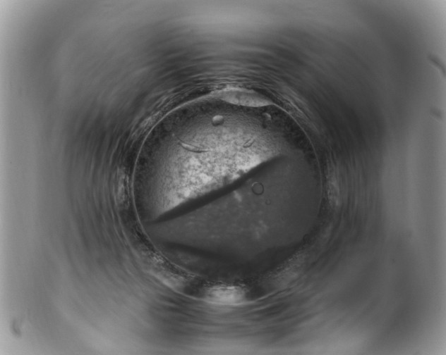 X0000100420169200806131106