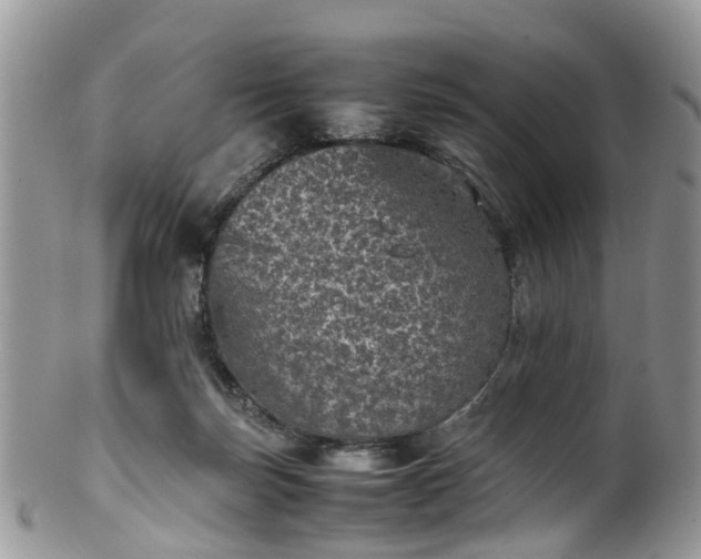 X0000100420171200806131106