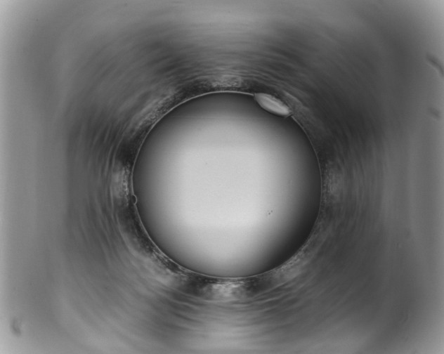 X0000100420172200806131106