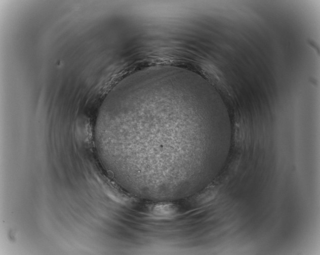 X0000100420173200806131106