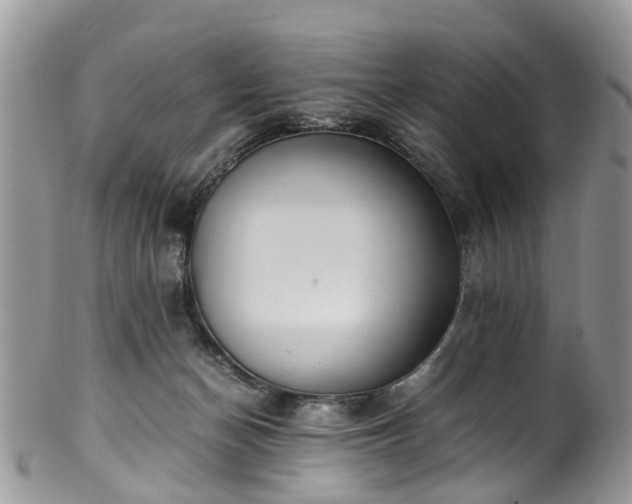 X0000100420174200806131106