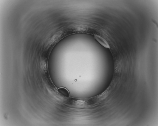 X0000100420176200806131107