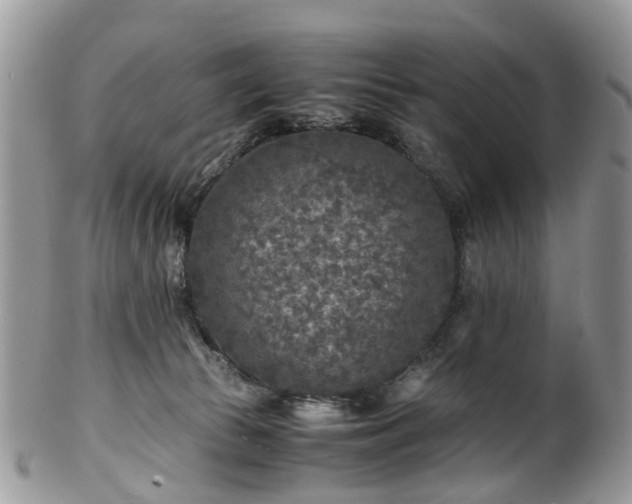 X0000100420177200806131107