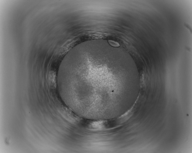 X0000100420178200806131107
