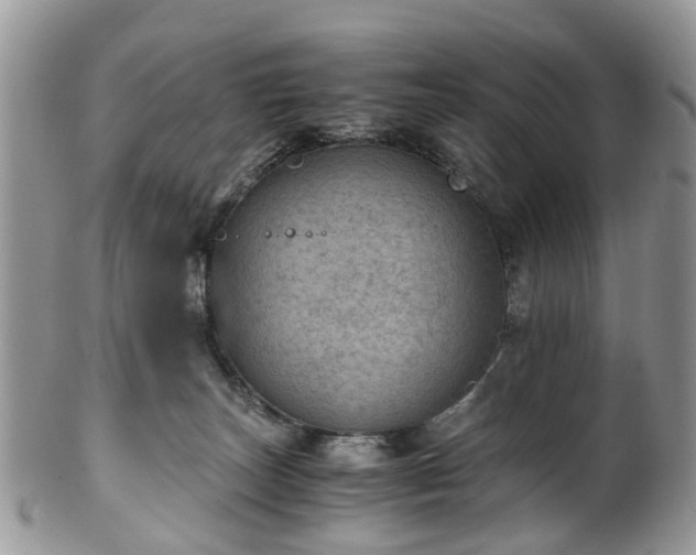 X0000100420179200806131107