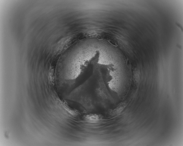 X0000100420181200806131107