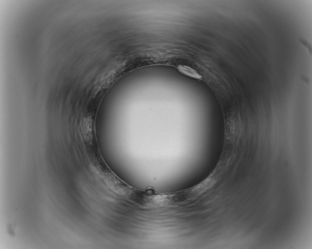 X0000100420184200806131107