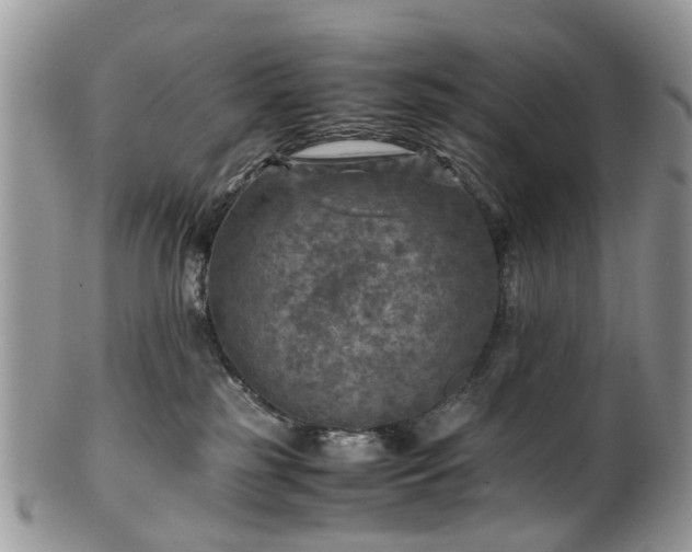 X0000100420185200806131107