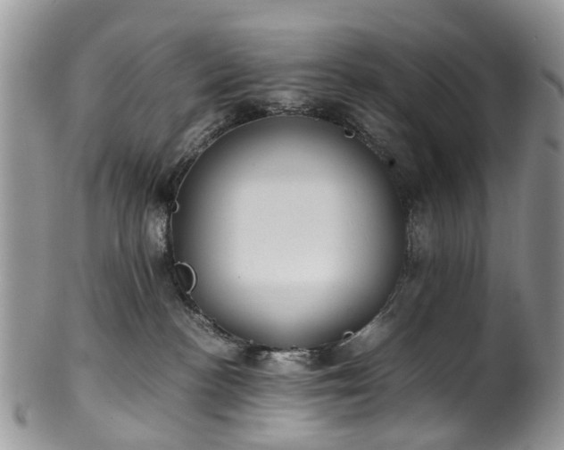 X0000100420188200806131107