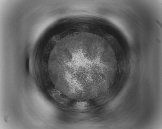 X0000100420189200806131107