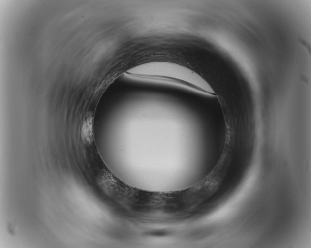 X0000100420190200806131107