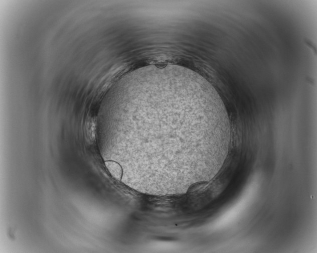 X0000100420191200806131107