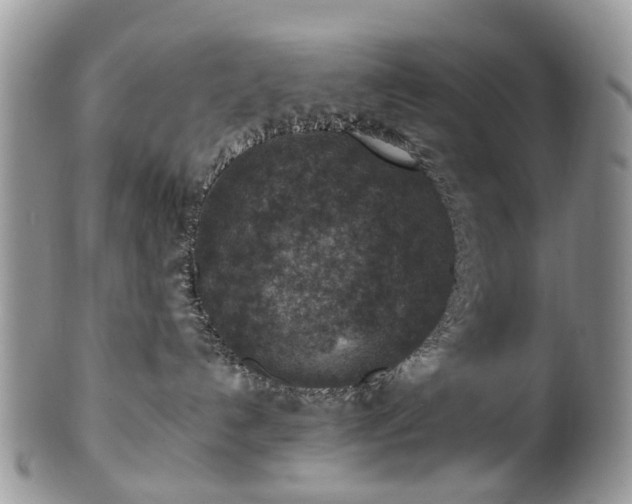 X0000100420192200806131107