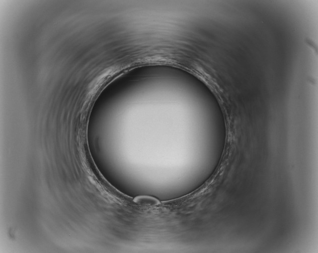 X0000100420193200806131106