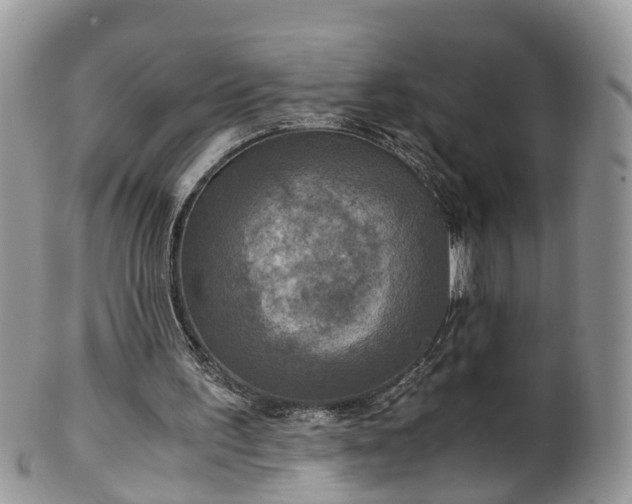 X0000100420195200806131106
