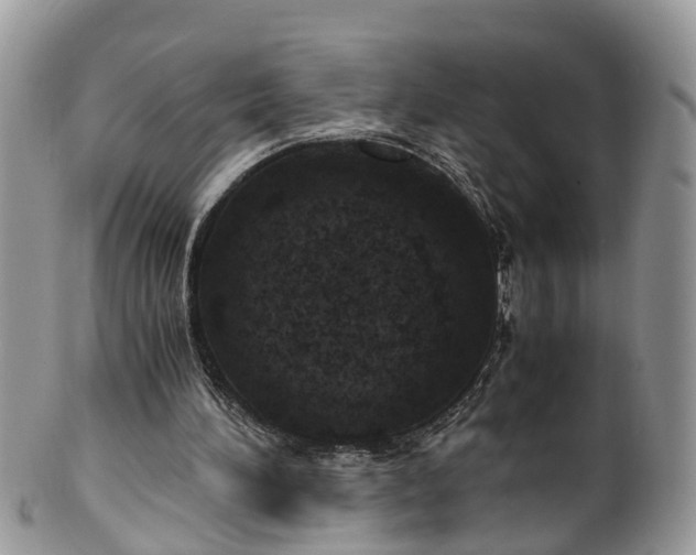 X0000100420196200806131106