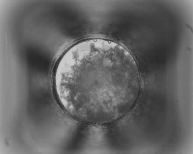 X0000100420199200806131106