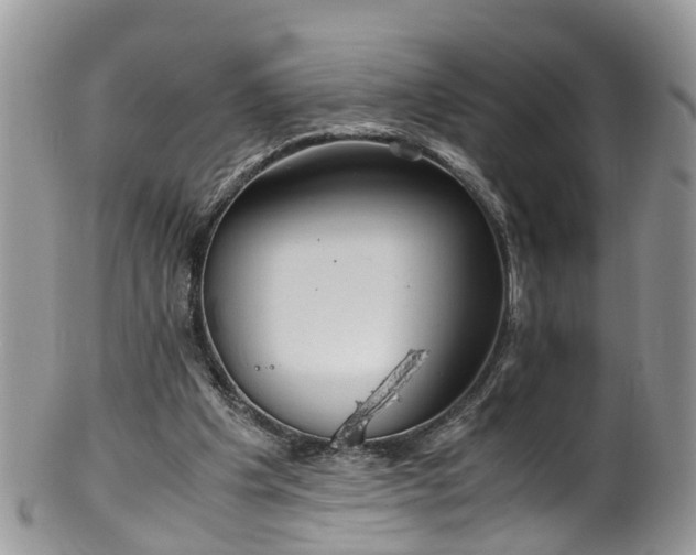 X0000100420201200806131106