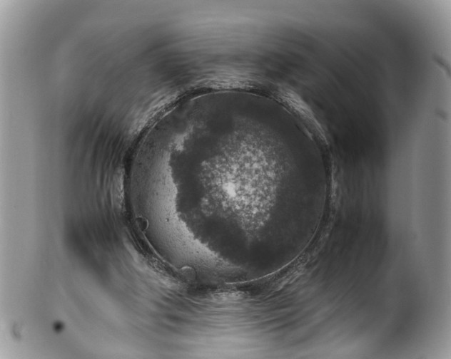 X0000100420202200806131106
