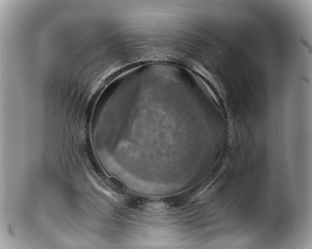 X0000100420203200806131106