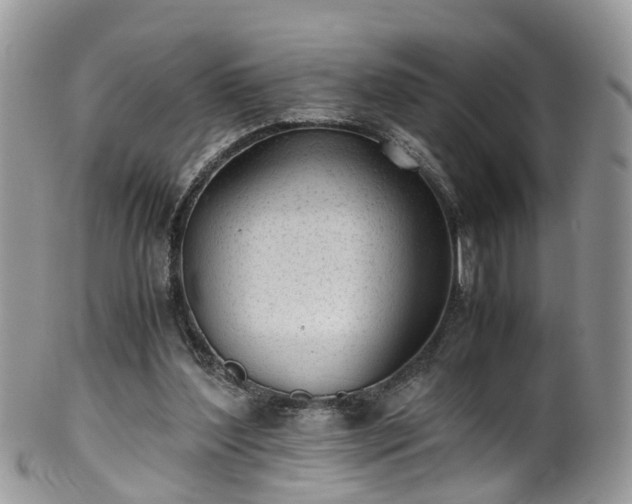 X0000100420204200806131106