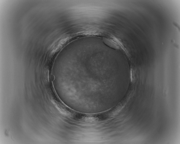 X0000100420205200806131106