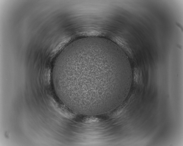 X0000100420206200806131106