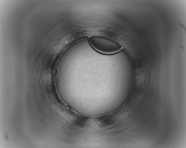 X0000100420207200806131106