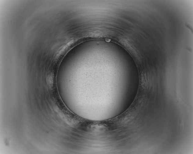 X0000100420208200806131106