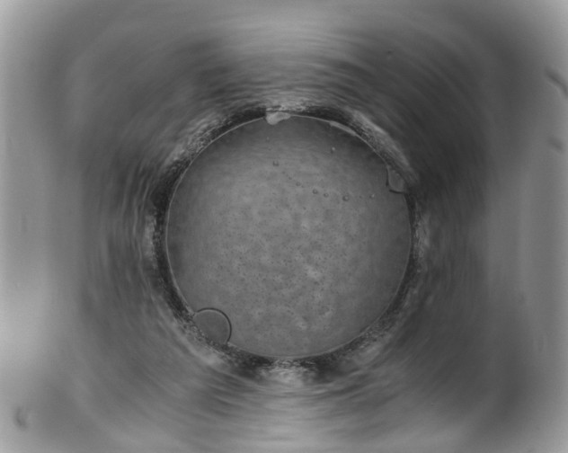X0000100420209200806131106