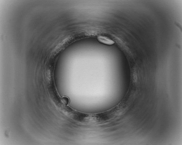 X0000100420211200806131106