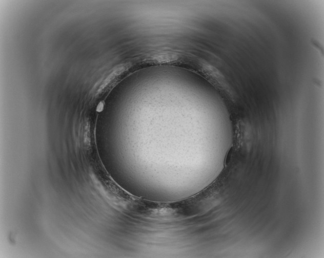 X0000100420212200806131106