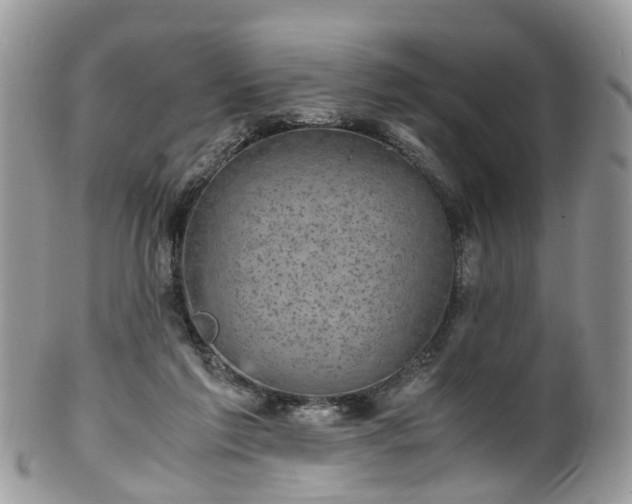 X0000100420213200806131106