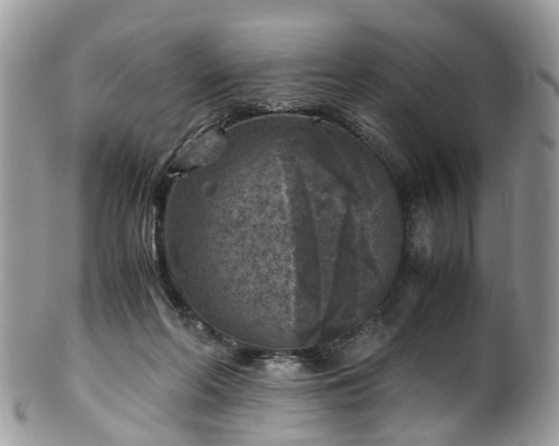 X0000100420214200806131106