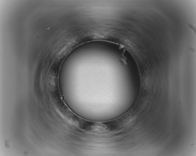 X0000100420215200806131106