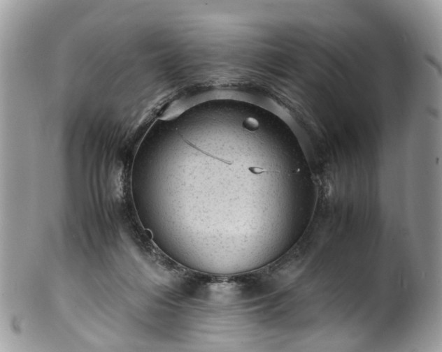 X0000100420216200806131106