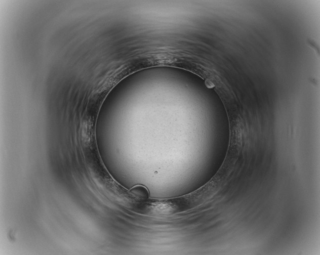X0000100420218200806131106