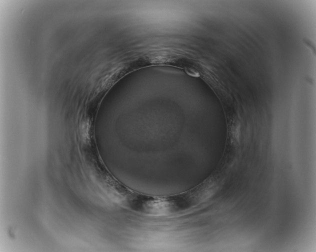 X0000100420219200806131106